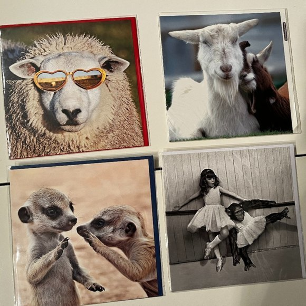 Blank Greeting Cards‎ - Set of 4 - Animal Themed (new) (home/x)